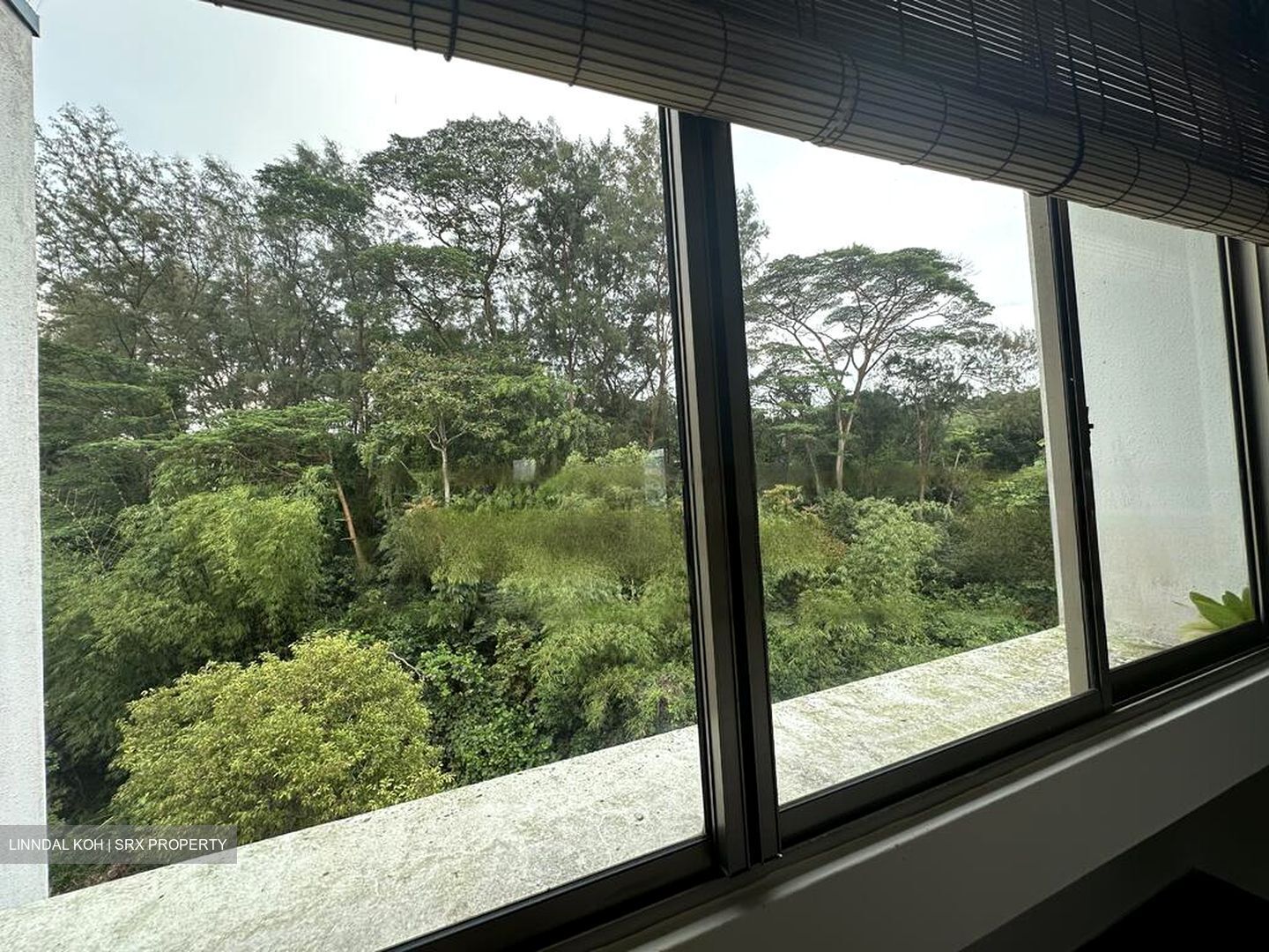 Buona Vista Gardens (D5), Condominium #507797951